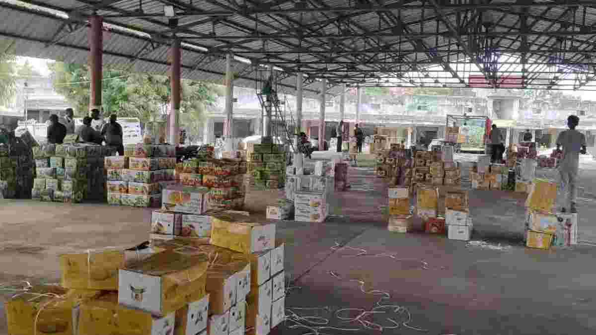 તાલાલામાં કેસર કેરીનો સુવર્ણ યુગ: 55 દિવસમાં 9.12 લાખ બોક્સનું વેચાણ, ખેડૂતોને ₹200 કરોડથી વધુની કમાણી