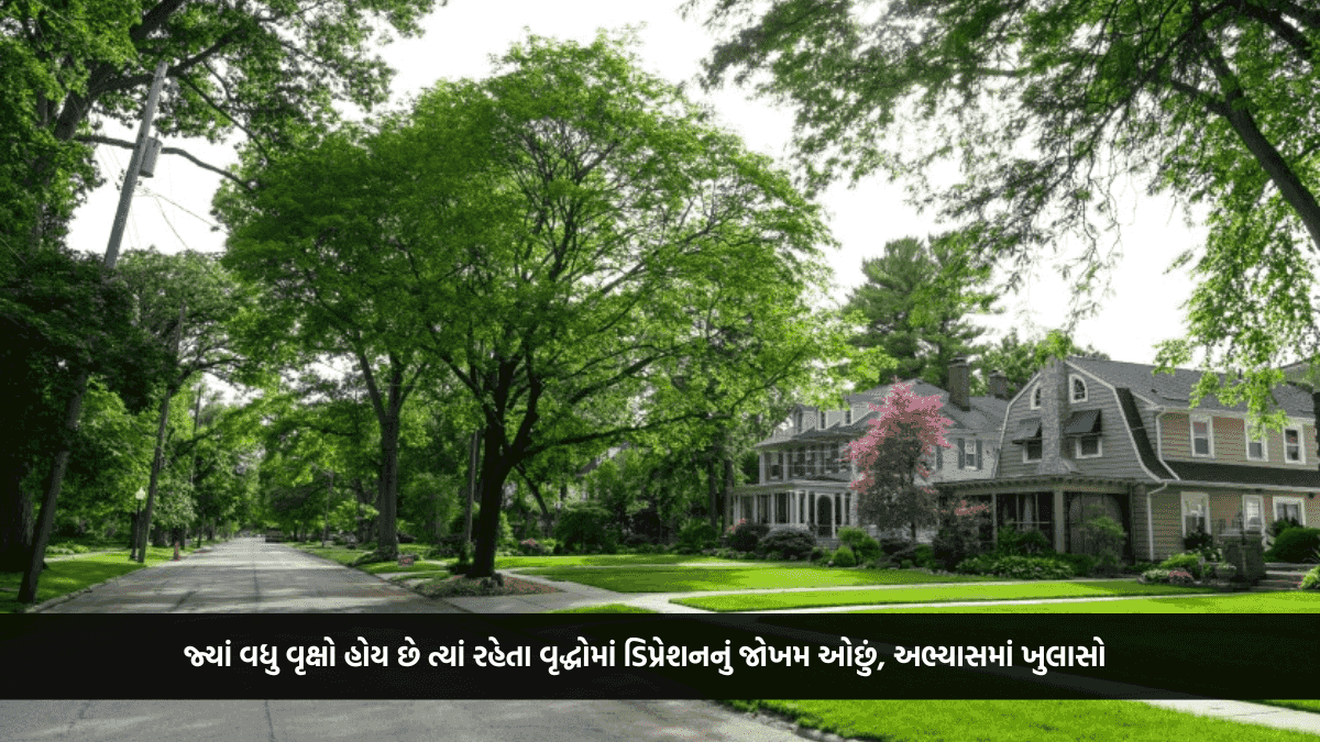 જ્યાં વધુ વૃક્ષો હોય છે ત્યાં રહેતા વૃદ્ધોમાં ડિપ્રેશનનું જોખમ ઓછું, અભ્યાસમાં ખુલાસો