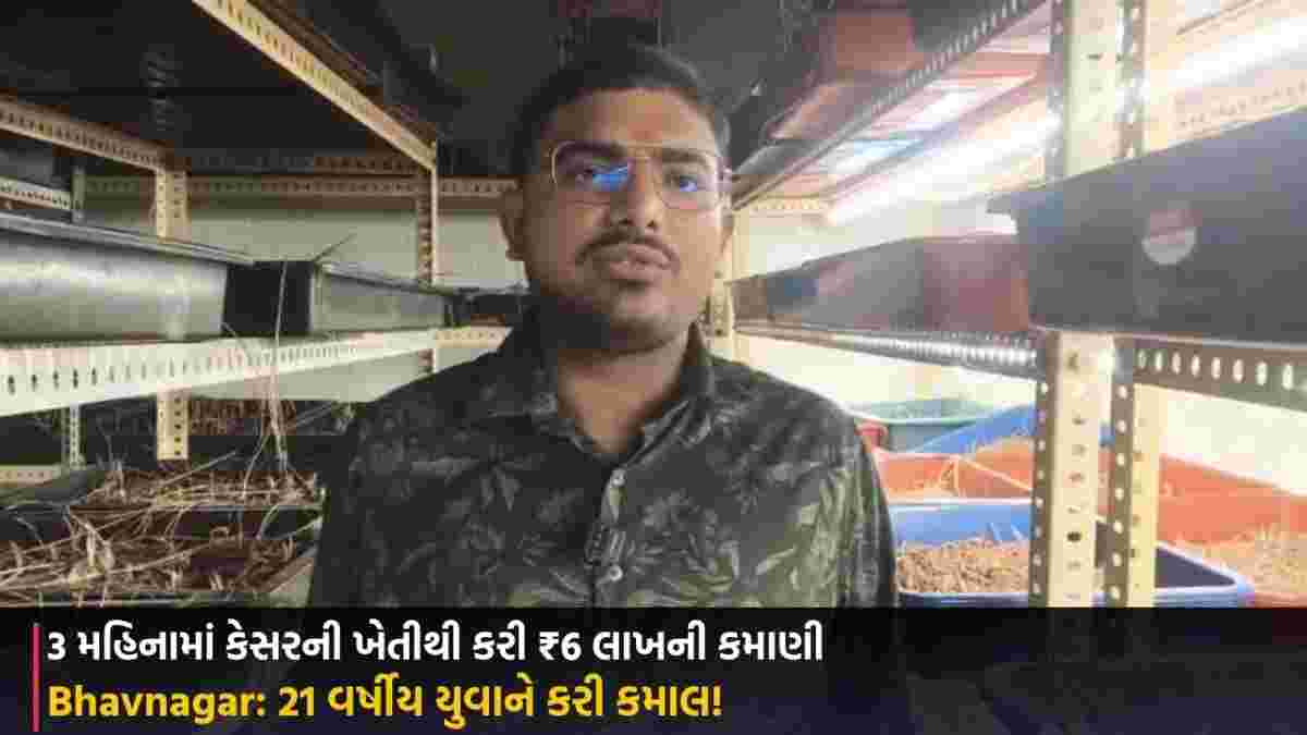 Bhavnagar: 21 વર્ષીય યુવાને કરી કમાલ! 3 મહિનામાં કેસરની ખેતીથી કરી ₹6 લાખની કમાણી