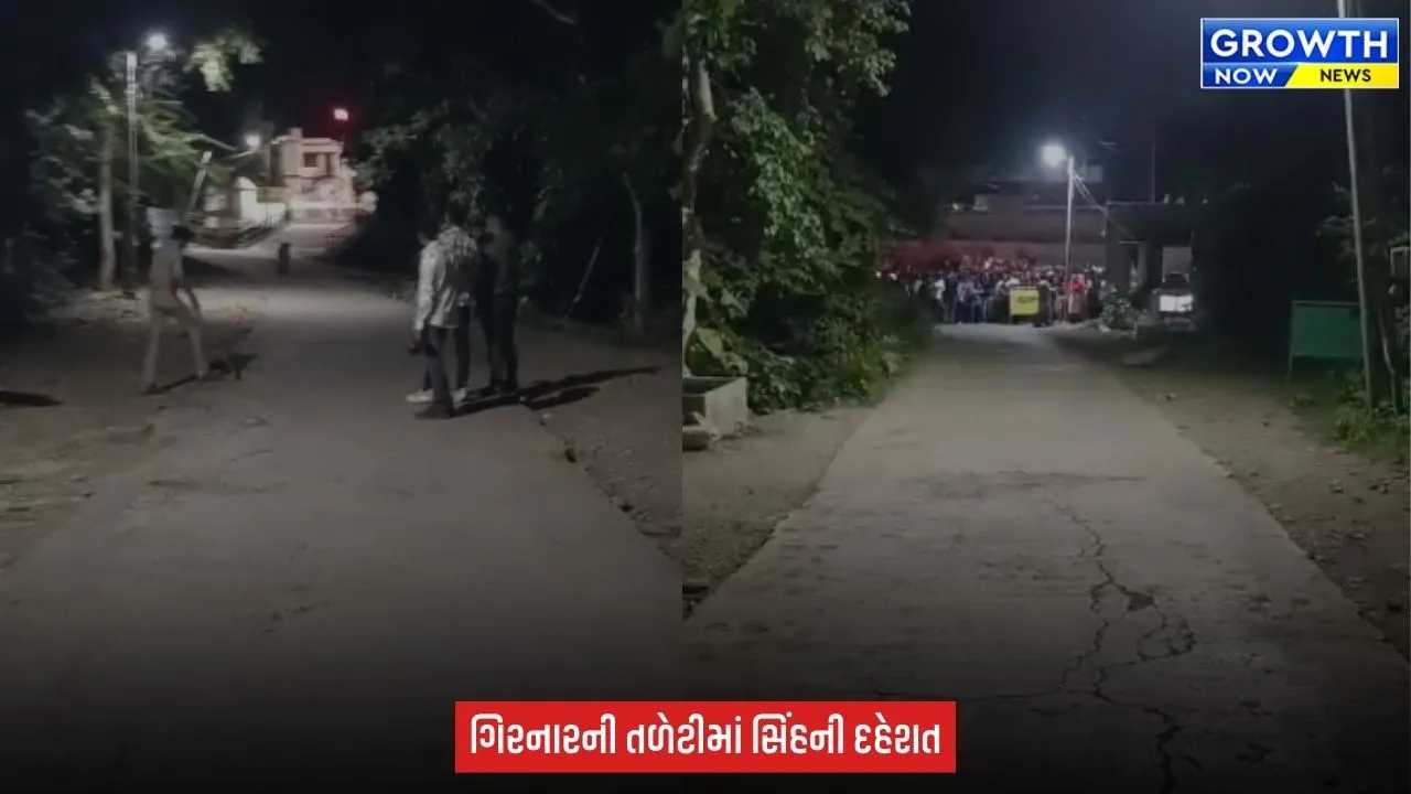 Junagadh : ભવનાથ વિસ્તારમાં યાત્રાળુઓની વચ્ચે પહોંચ્યો સિંહ, જૂનાગઢ વન વિભાગે ટોર્ચના આધારે સિંહને જંગલ તરફ ખસેડયો