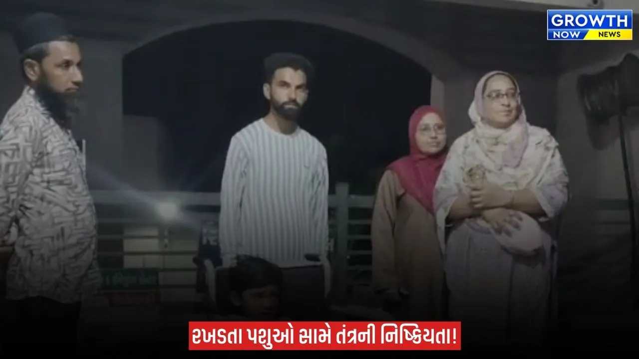 Arvalli ના મોડાસામાં રખડતા ઢોરનો આતંક, આખલાની ટક્કરે 7 વર્ષના બાળકને પહોંચી ગંભીર ઈજા