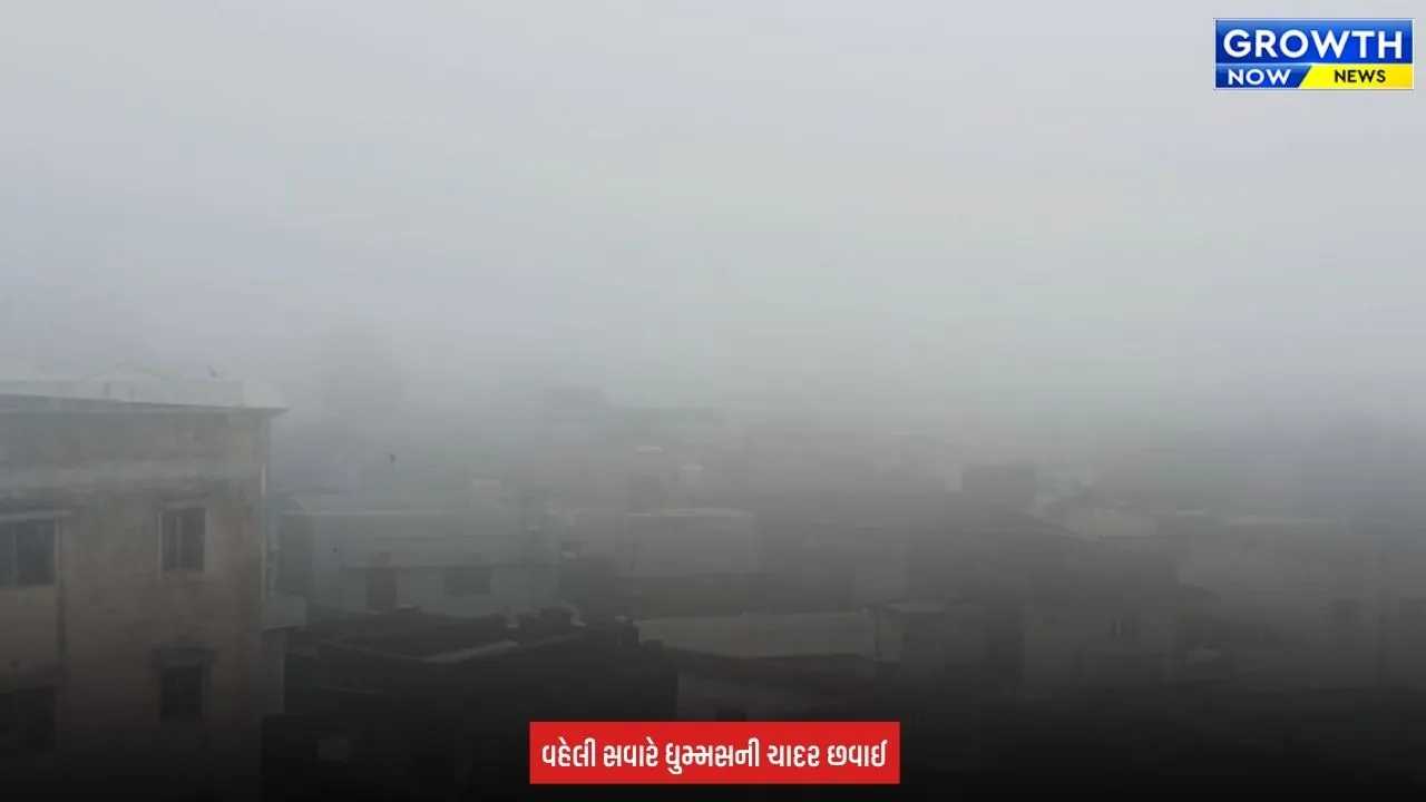 Rajkot Foggy Atmoshphere : ઉપલેટા-ધોરાજીમાં ગાઢ ધુમ્મસ અને ઝાકળ, કપાસના પાકને લઈને ખેડૂતોમાં ચિંતા