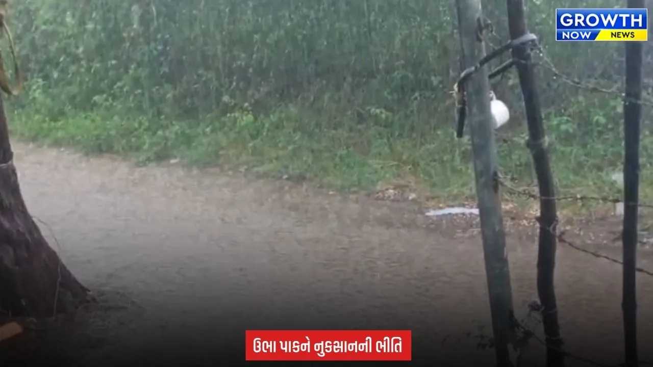 Bhavnagar માં મેઘરાજાની ધમાકેદાર એન્ટ્રી, ગ્રામ્ય વિસ્તારોમાં ધોધમાર વરસાદનું આગમન