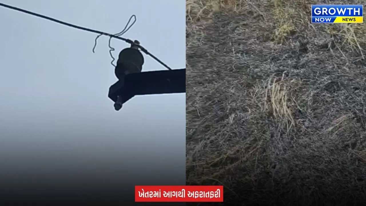 Sabarkantha Fire News : સાબરકાંઠાના વક્તાપુરમાં વીજતારમાં શોર્ટ સર્કિટની આશંકા વચ્ચે ડાંગરના ખેતરમાં આગ, 40 મણ પાક બળ્યાની આશંકા