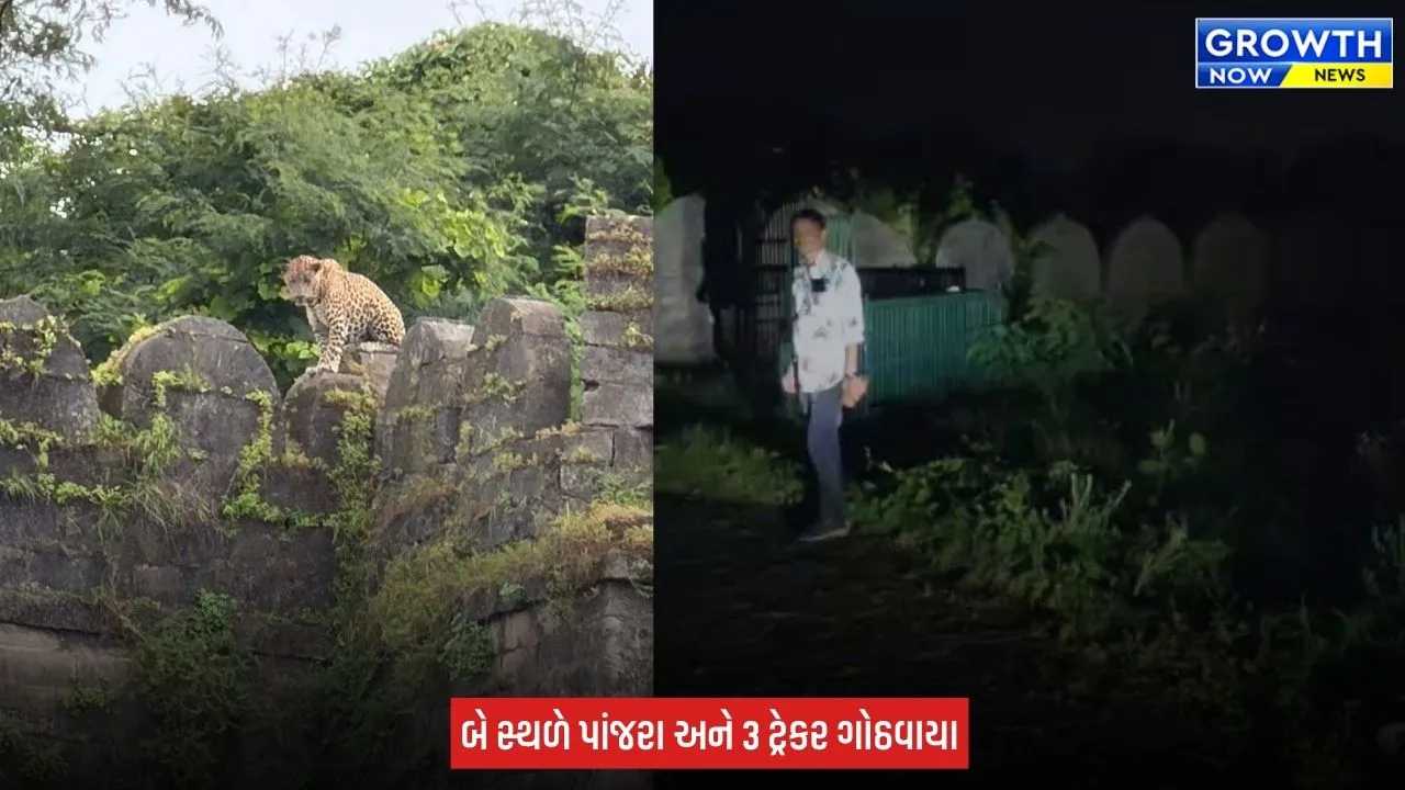 Junagadh ના ઉપરકોટ કિલ્લામાં દીપડાની દહેશત, પ્રવાસીઓ માટે કિલ્લો સંપૂર્ણ બંધ કરાયો