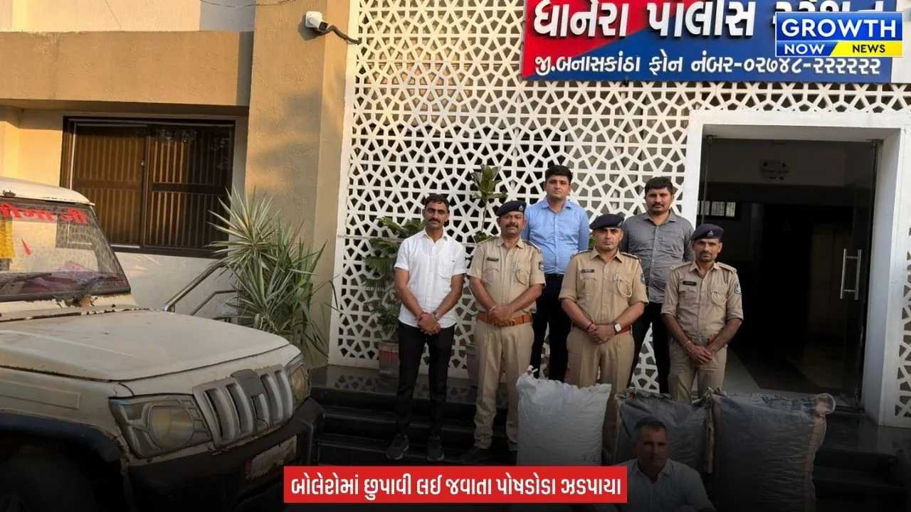Banaskantha News :  ધાનેરા પોલીસે 64.750 કિલો જથ્થાના પોષડોડા ઝડપ્યા, ₹11.76 લાખના મુદ્દામાલ સાથે એકની અટકાયત
