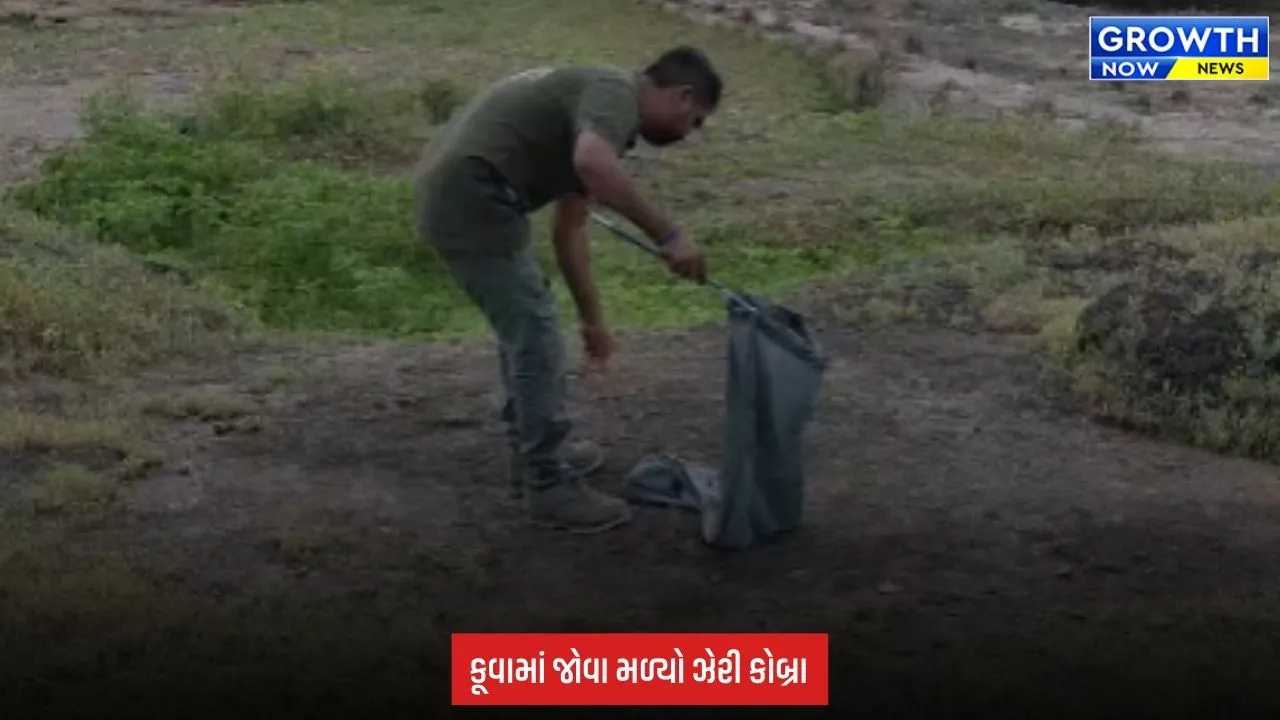 Junagadh:  લીલીયા ગામે 60 ફૂટ ઊંડા કૂવામાંથી ઝેરી કોબ્રાનું સફળ રેસ્ક્યુ
