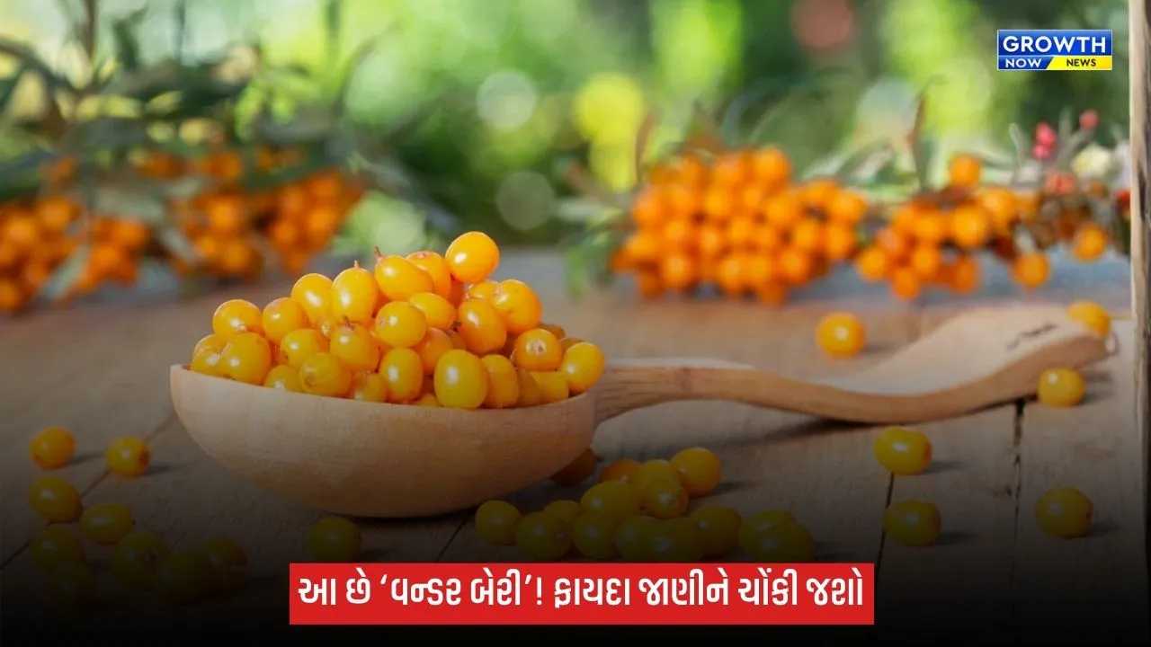 Sea Buckthorn Nutrition: સી બકથૉર્નમાં કેટલા વિટામિન-મિનરલ્સ? જાણો ‘વન્ડર બેરી’ના ફાયદા