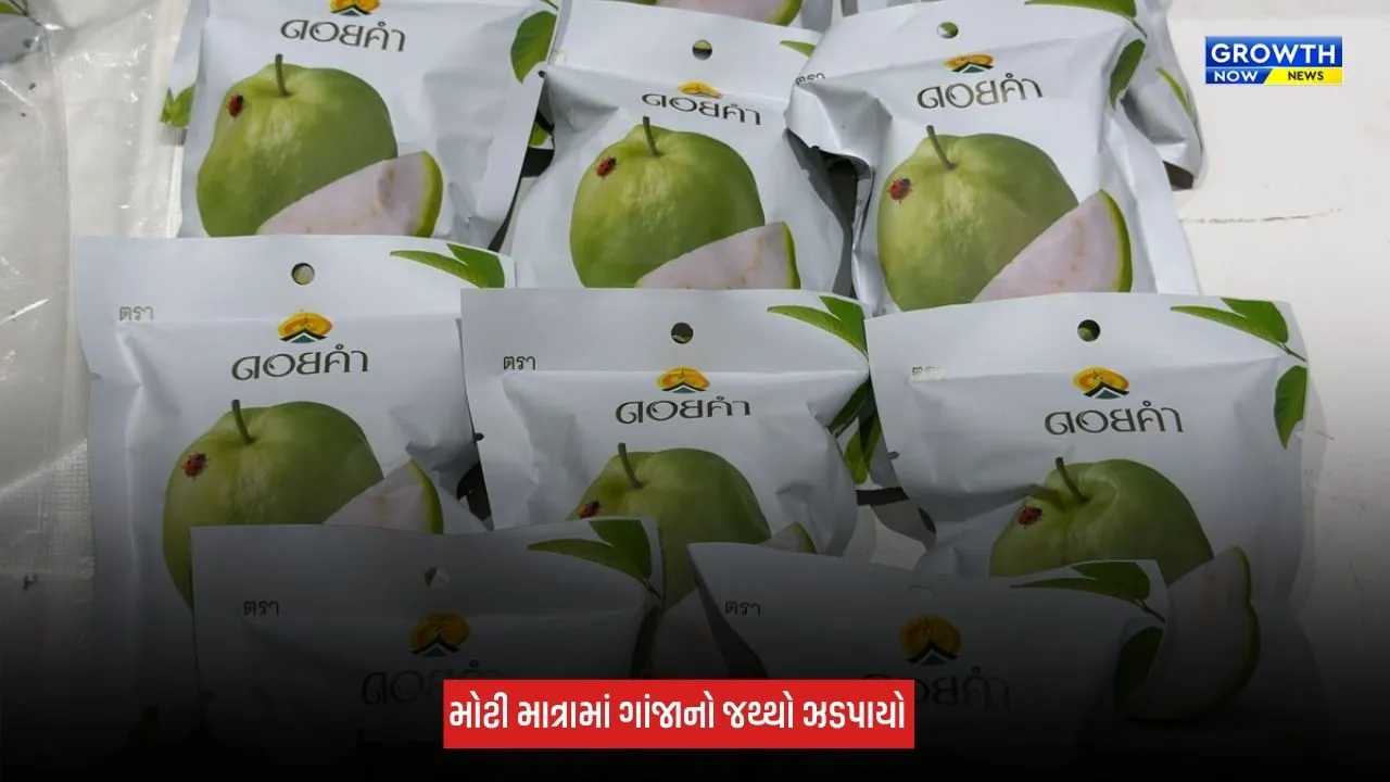 Ahmedabad : એરપોર્ટ પર કસ્ટમ વિભાગની મોટી કાર્યવાહી, 973 ગ્રામ હાઈડ્રોપોનિક મેરિજુઆના ઝડપાયું