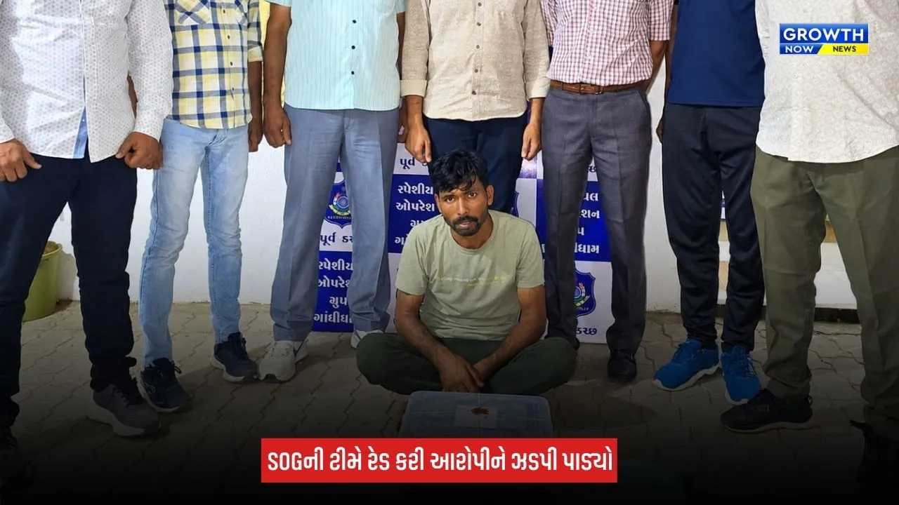 Kutch News: પૂર્વ કચ્છ SOGની મોટી કાર્યવાહી, વર્ષામેડી નજીકથી 1.963 કિલો ગાંજા સાથે એક શખ્સ ઝડપાયો