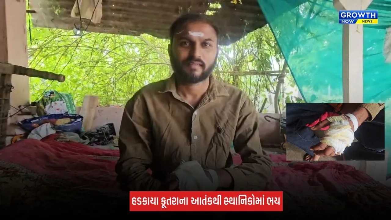 Kheda : કઠલાલ શહેરમાં હડકાયા કૂતરાનો આતંક, 18 લોકોને ભર્યા બચકા