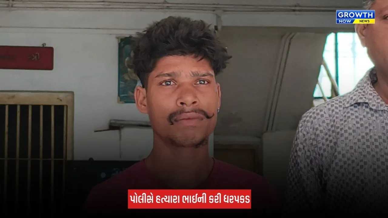 Dang : ભાઈએ જ ભાઈની કરી હત્યા કરી, કામધંધા બાબતની સામાન્ય બોલાચાલી વધુ ઉગ્ર બની
