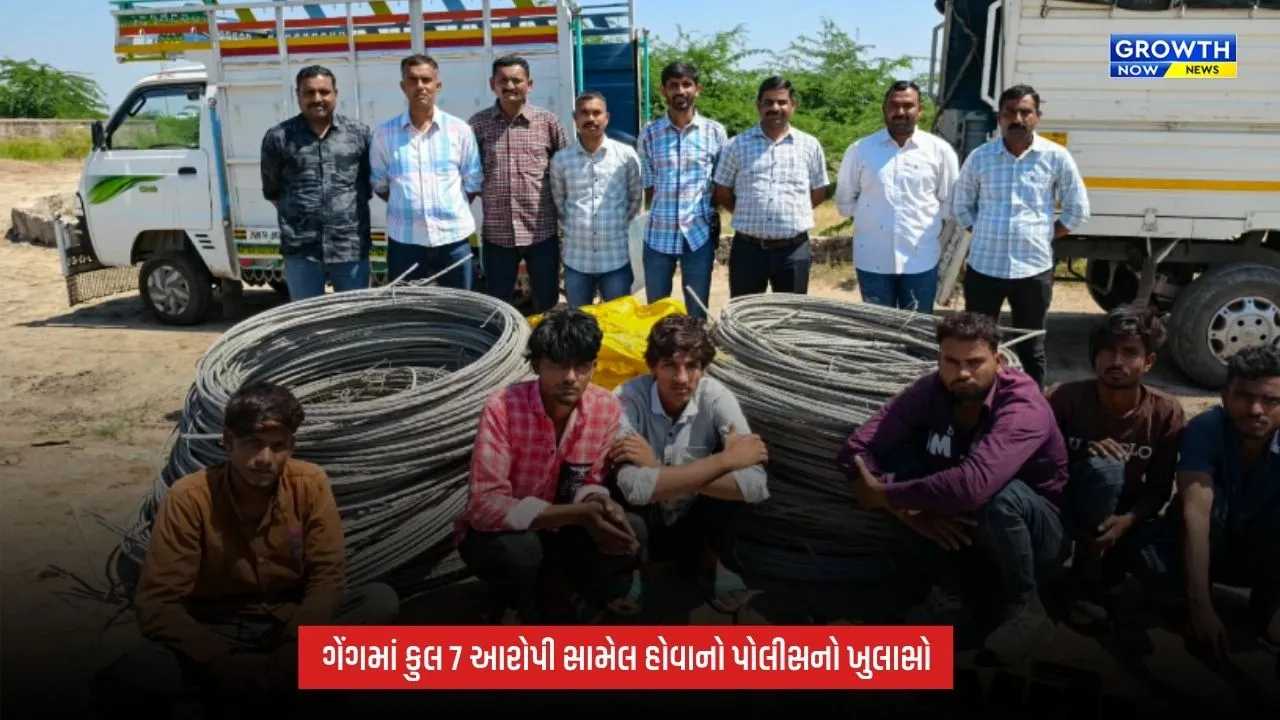 Ahmedabad : ધોલેરા-કોઠમાં વીજ વાયર ચોરી કરતી ગેંગનો પર્દાફાશ, 6 આરોપી ઝડપાયા