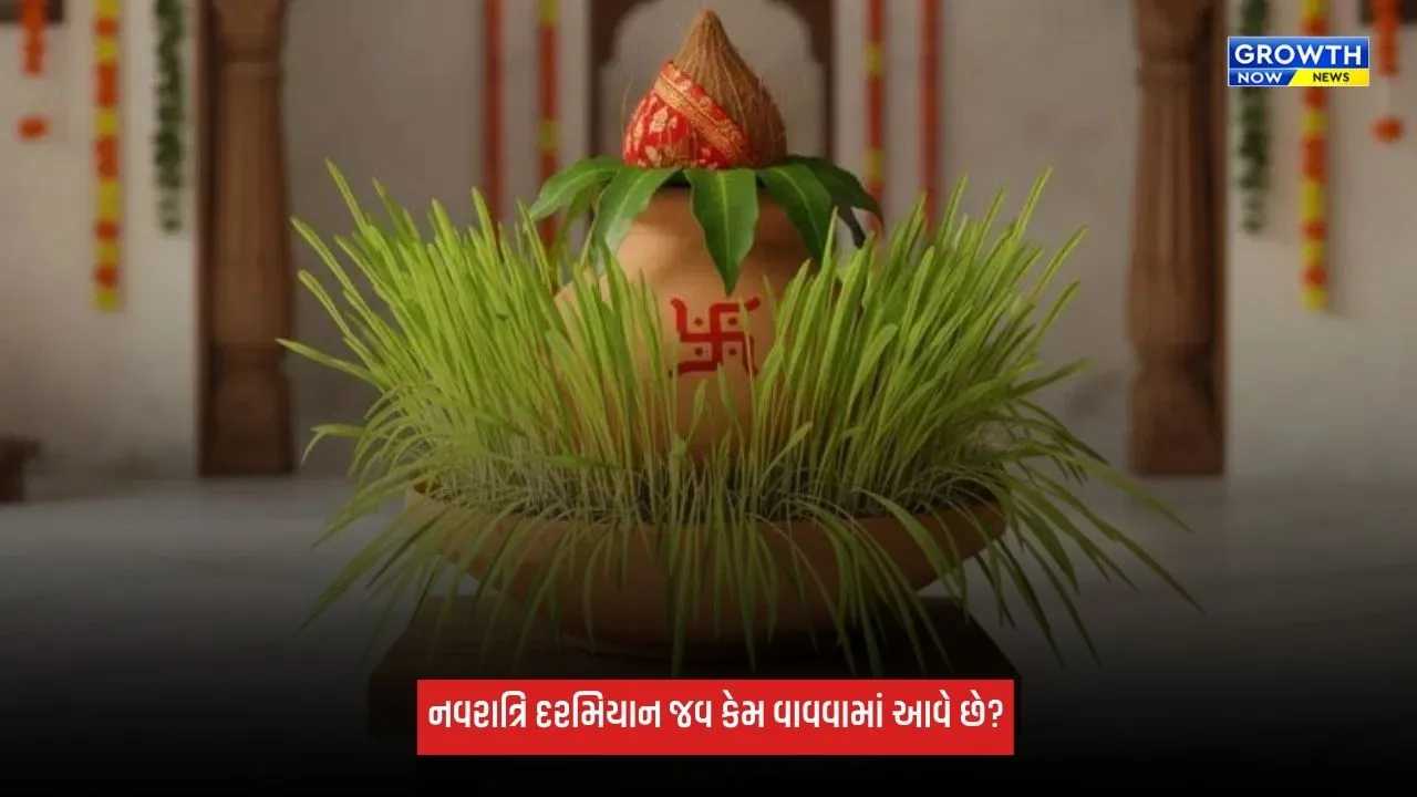 Shardiya Navratri 2026: નવરાત્રિ દરમિયાન જવ કેમ વાવવામાં આવે છે? જાણો નિયમો