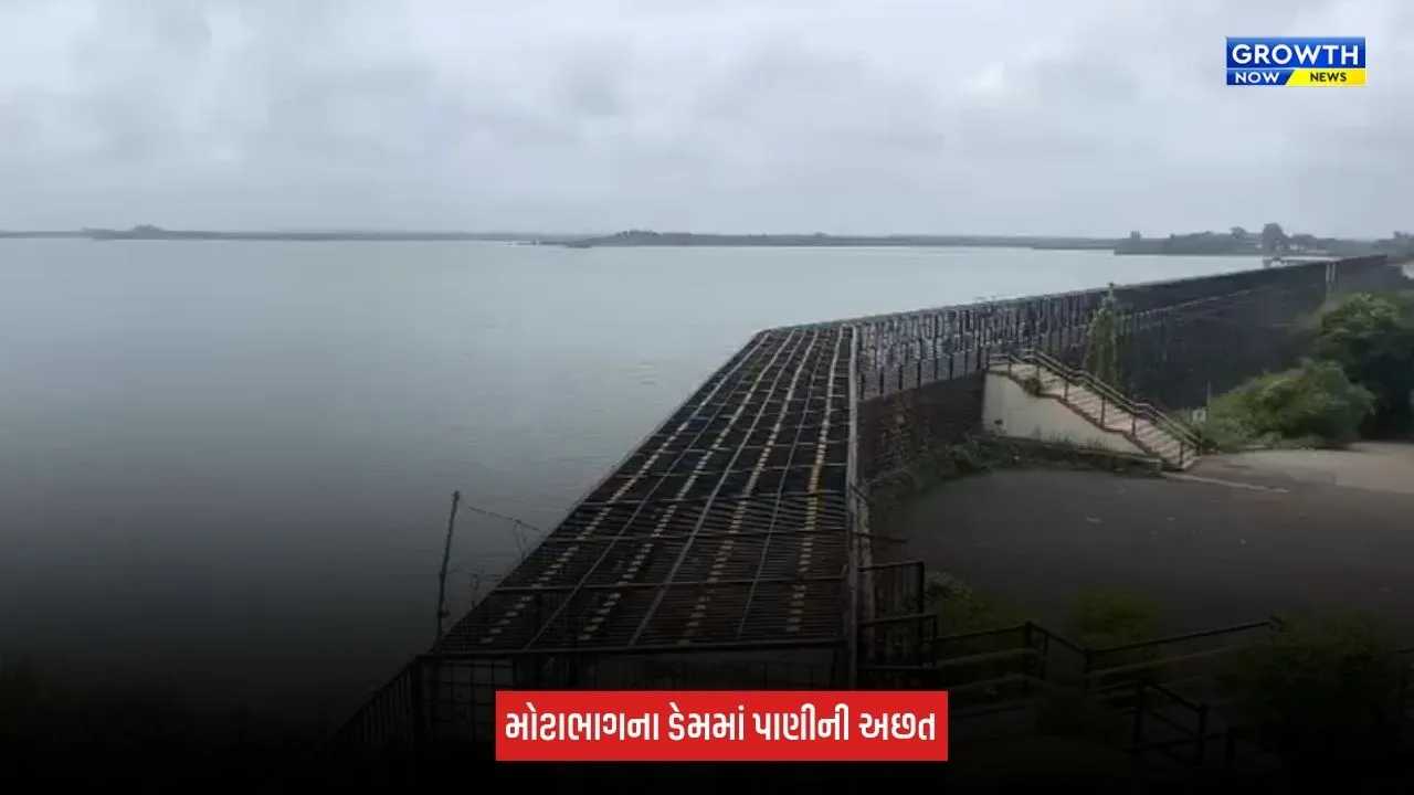 Rajkot : ઓછા વરસાદના કારણે મોટાભાગના ડેમોમાં પાણીની આવક ઓછી, માત્ર 3 ડેમ જ ઓવરફ્લો