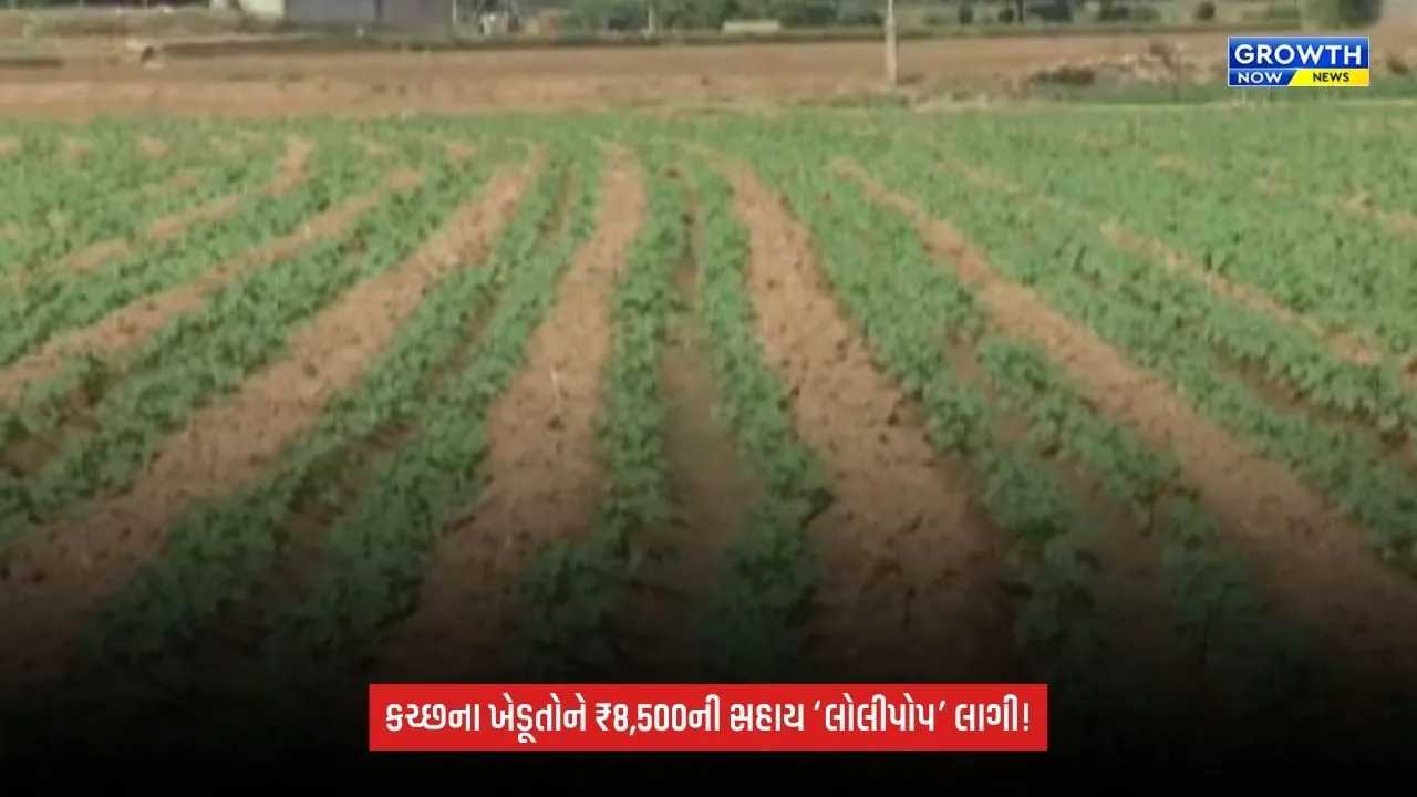 Kutchને અછતગ્રસ્ત જાહેર કરતાં ખેડૂતોમાં નારાજગી, ₹8,500ની સહાયને ગણાવી ‘લોલીપોપ’