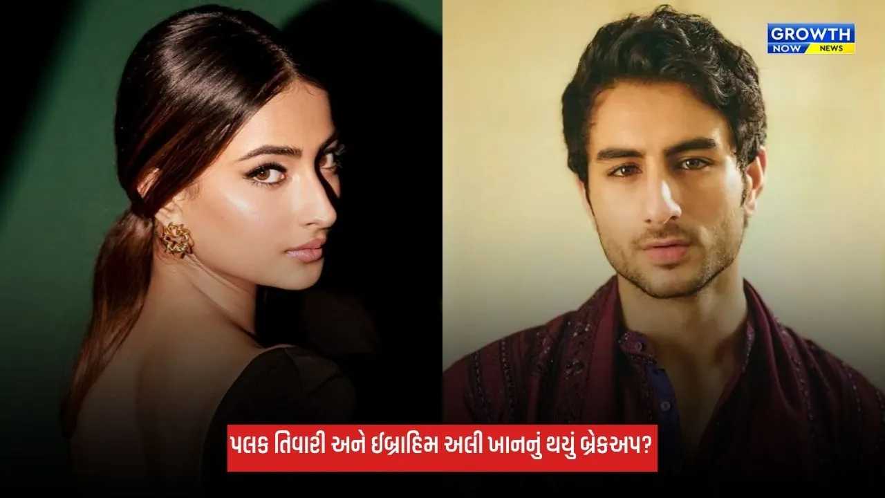 Palak Tiwari: 3 વર્ષ રિલેશનશિપમાં રહ્યા બાદ ઈબ્રાહિમ અલી ખાન અને પલક તિવારીનું થયું બ્રેકઅપ! જાણો શું છે સમગ્ર મામલો