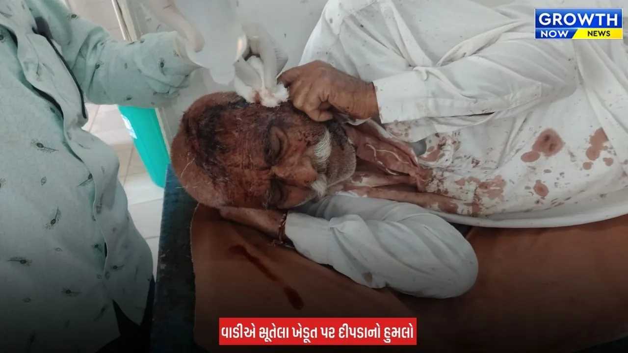 Amreli Leopard Attacked : અમરેલીના મોટા સરાકડીયામાં ખેડૂત પર દીપડાનો હુમલો, માથાના ભાગે ઈજા પહોંચતા સારવાર હેઠળ ખસેડાયા