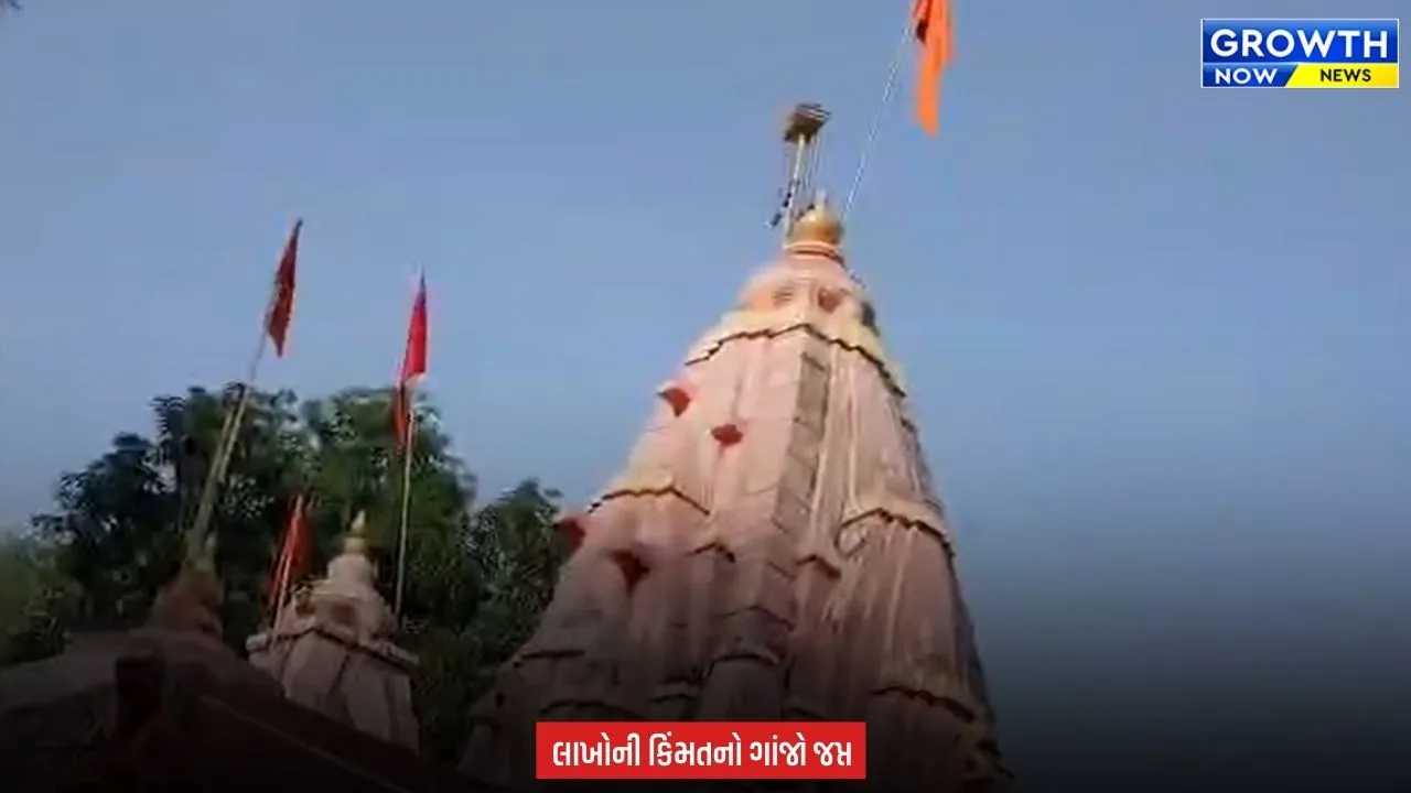 Arvalli News : માલપુરના શૂલપાણેશ્વર મંદિરમાં પોલીસની રેડ, ગાંજાના છોડ અને સૂકો ગાંજો મળ્યો