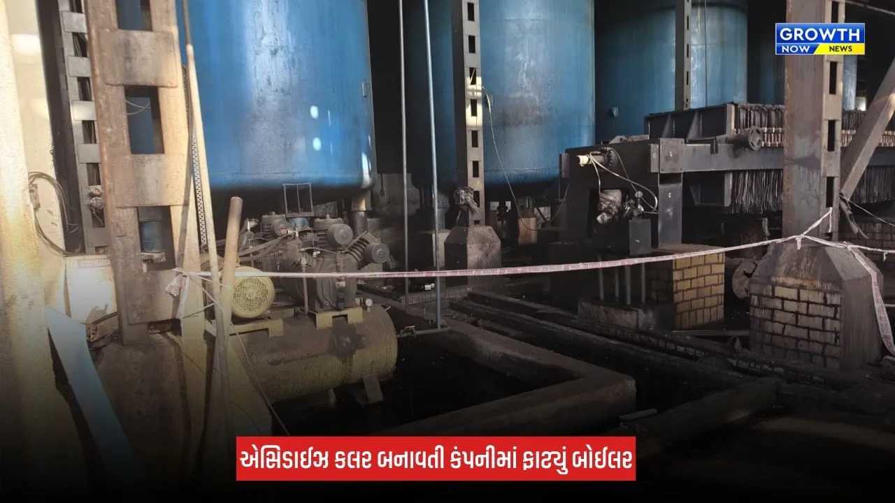 Gandhinagar: છત્રાલ GIDCમાં બોઈલર ફાટતા 4 લોકોના મોત, કંપનીમાં દુર્ઘટનાથી ચકચાર