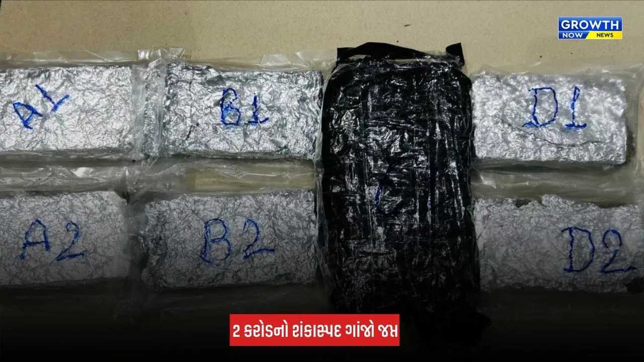 Ahmedabad: એરપોર્ટ પરથી રૂપિયા 2 કરોડનો શંકાસ્પદ ગાંજો જપ્ત, પેડલર અને રિસીવર બંનેની ધરપકડ