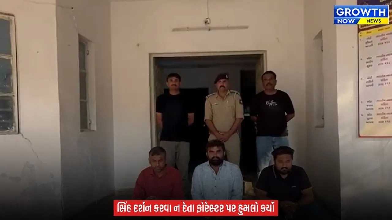 Amreli News : અમરેલીમાં સિંહ દર્શન માટે દાદાગીરી, ફોરેસ્ટ કર્મચારી પર હુમલો કરનાર 3 આરોપી ઝડપાયા