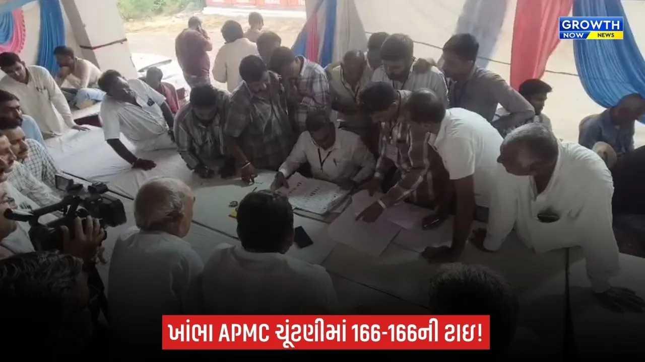 Khambha APMC Election: ખાંભા APMC ચૂંટણીમાં મામલો ગૂંચવાયો, ભાજપના બે ઉમેદવારો વચ્ચે 166-166 મતથી ટાઇ