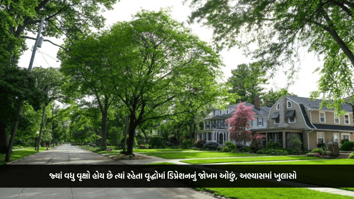 જ્યાં વધુ વૃક્ષો હોય છે ત્યાં રહેતા વૃદ્ધોમાં ડિપ્રેશનનું જોખમ ઓછું, અભ્યાસમાં ખુલાસો