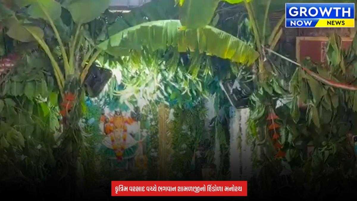 Aravalli Shamlaji Temple : શામળાજીમાં ભક્તિનો અનોખો ઉત્સવ, હિંડોળા મનોરથની ઉજવણી
