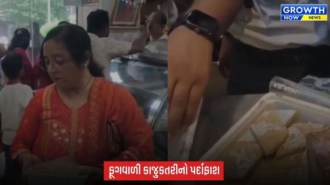 Surat માં કૈલાશ સ્વીટ્સની કાજુકતરીમાં નીકળી ફૂગ! પાલિકાએ રૂ.5 હજારનો દંડ ફટકાર્યો