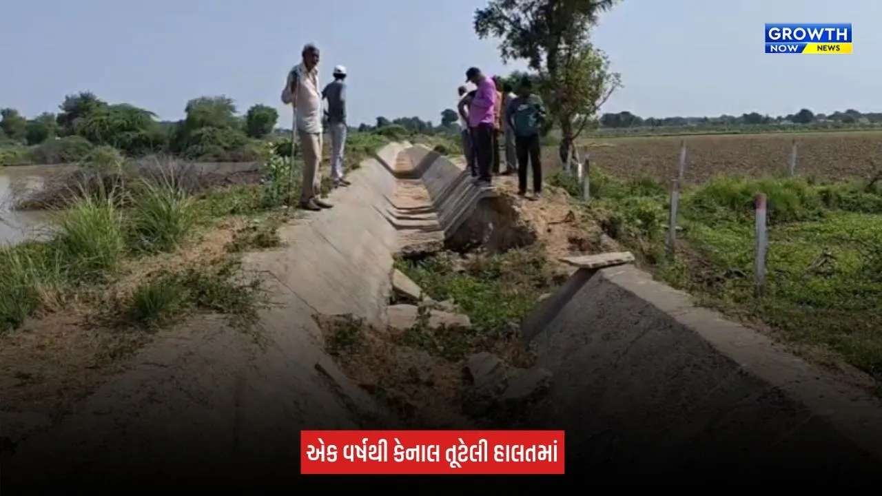 Mehsana News: શંખલપુરમાં એક વર્ષથી કેનાલ તૂટેલી હાલતમાં, સિંચાઈના પાણી માટે ખેડૂતો મારી રહ્યા છે વલખા