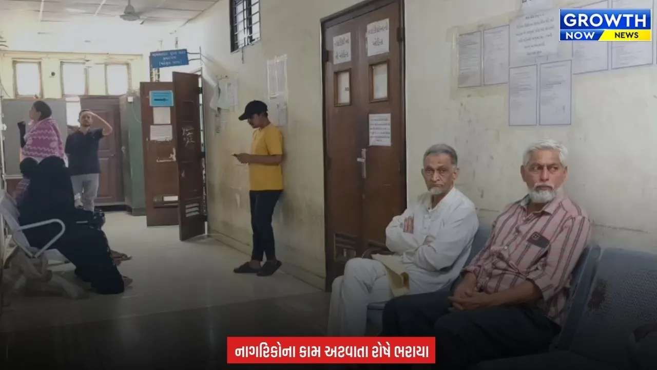 Surat News : 14 માગણીઓ સાથે મહેસૂલ કર્મચારીઓ હડતાળ પર ઉતર્યા, મહેસૂલ કચેરીઓમાં સરકારી કામ પર દેખાઈ અસર