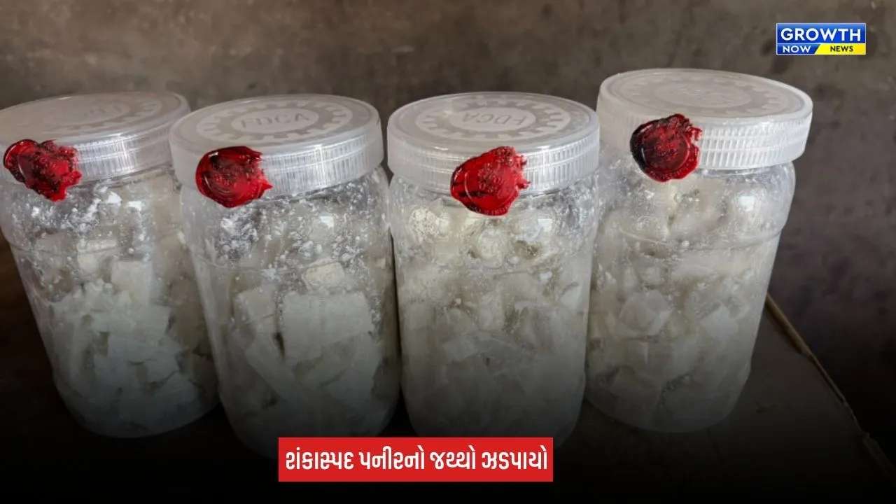 Bhuj News: ભીરંડીયારામાં 699 કિલો શંકાસ્પદ પનીરનો નાશ, ફૂડ વિભાગની કાર્યવાહી