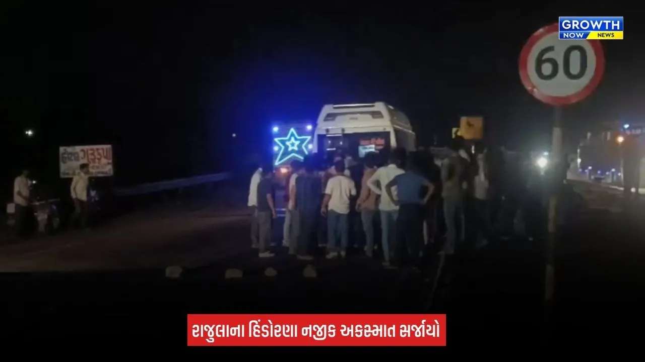 Amreli Accident News: રાજુલાના હિંડોરણા નજીક સર્જાયો અકસ્માત, ટુરિસ્ટ બસે બે ભેંસને ટક્કર મારી