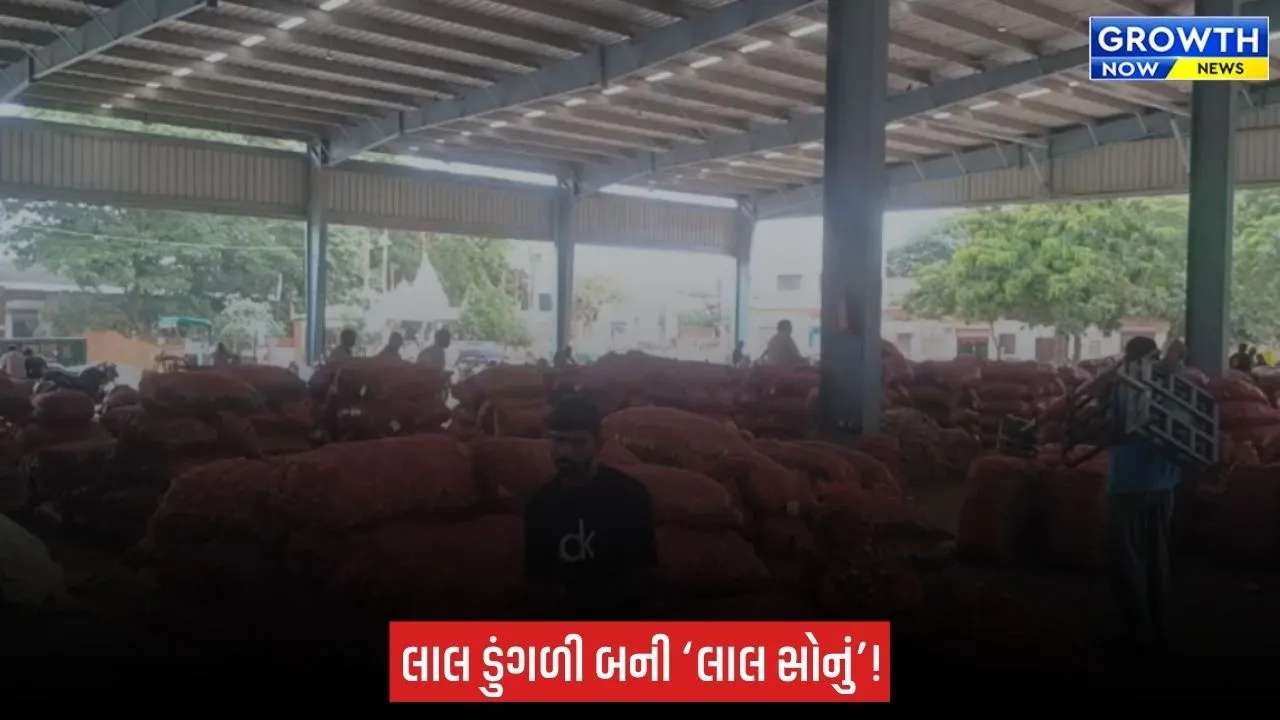 Bhavnagar ના મહુવા યાર્ડમાં લાલ ડુંગળીના ભાવ 800 પાર, ખેડૂતોની હાલત દયનીય બની ?
