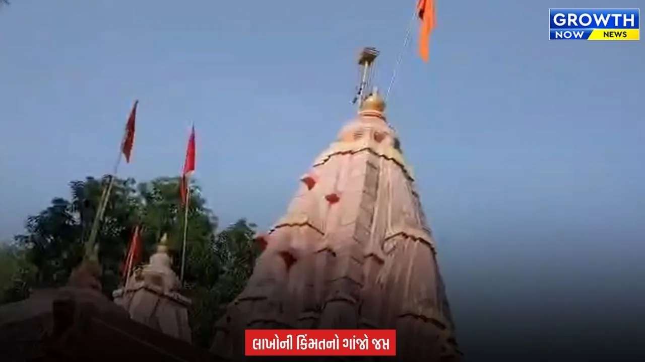 Arvalli News : માલપુરના શૂલપાણેશ્વર મંદિરમાં પોલીસની રેડ, ગાંજાના છોડ અને સૂકો ગાંજો મળ્યો