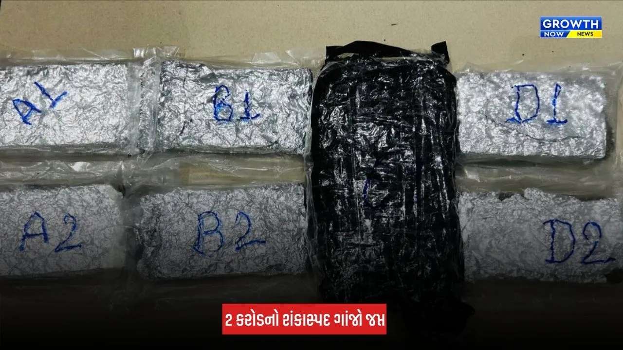 Ahmedabad: એરપોર્ટ પરથી રૂપિયા 2 કરોડનો શંકાસ્પદ ગાંજો જપ્ત, પેડલર અને રિસીવર બંનેની ધરપકડ