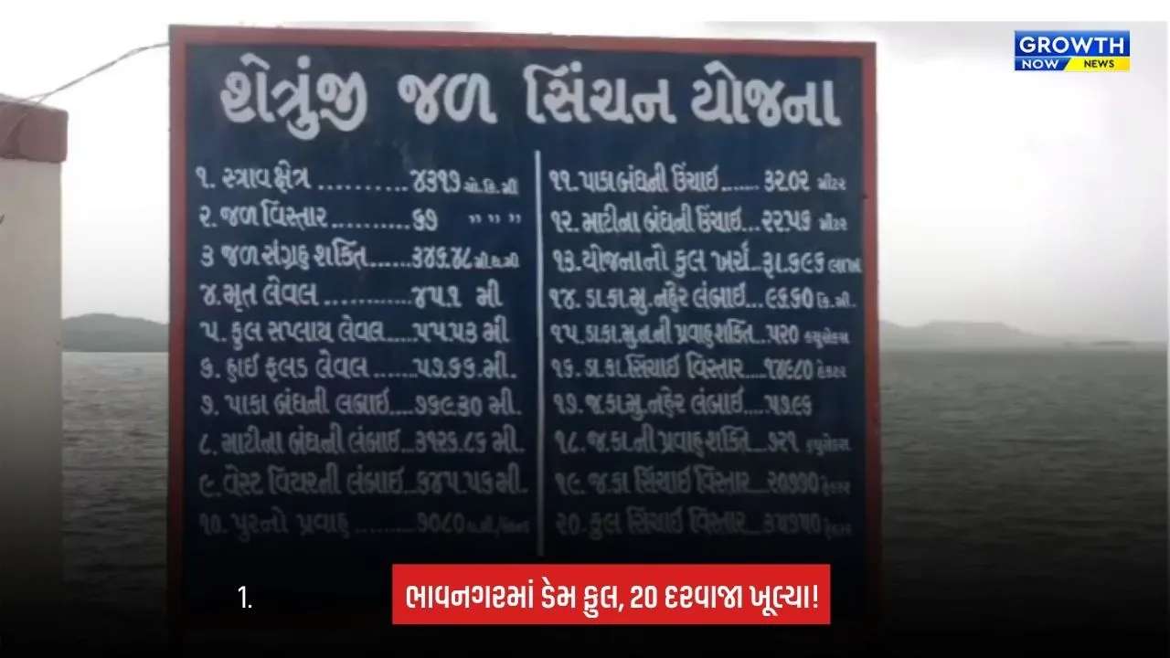 Bhavnagar: શેત્રુંજી ડેમ 100% ભરાયો, 20 દરવાજા ખોલાયા; 4,800 ક્યુસેક પાણી છોડાયું