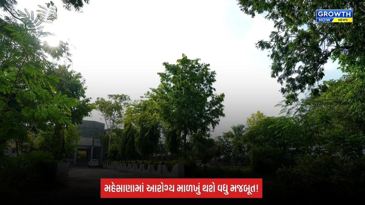 Mehsana: આરોગ્ય માળખાને મળશે વધુ મજબૂતી, 12 PHC માટે 31,957 ચો.મી. જમીન ફાળવાઈ