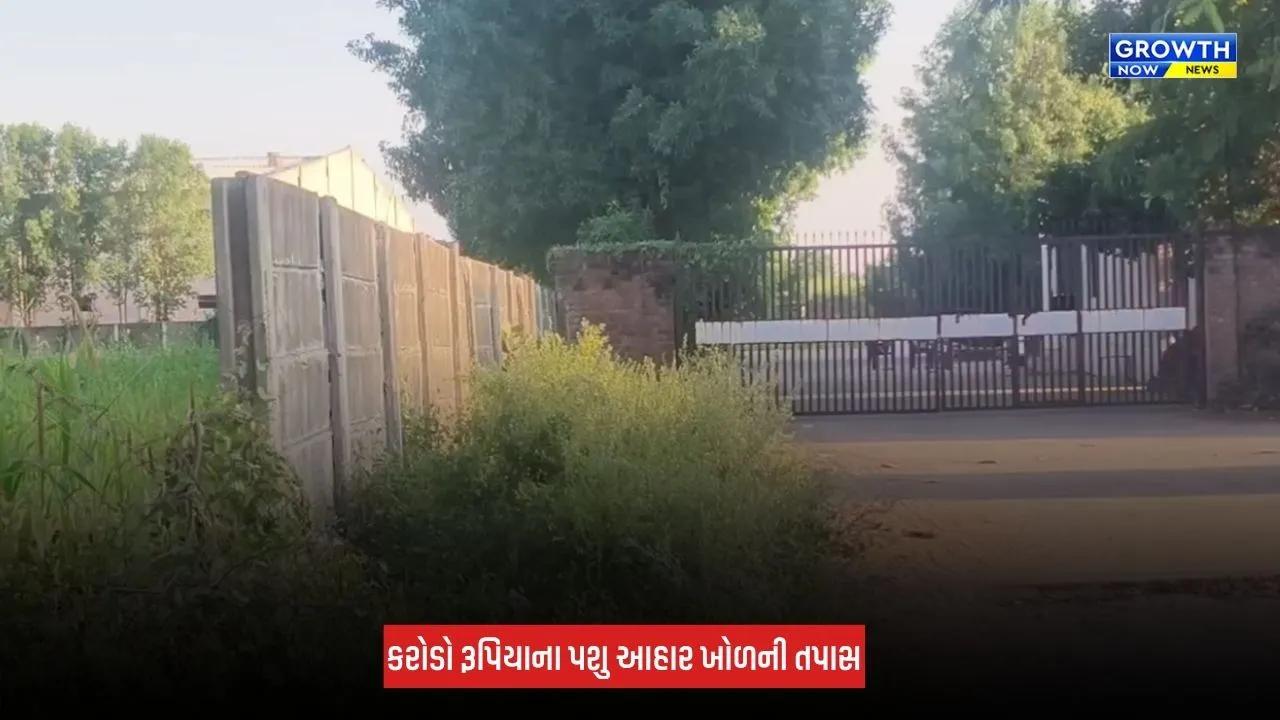 Mehsana-Kadiમાં પશુ આહારના ખોળના ગોડાઉનોમાં તપાસ, 1.57 લાખથી વધુ બોરીના જથ્થાની ચકાસણી