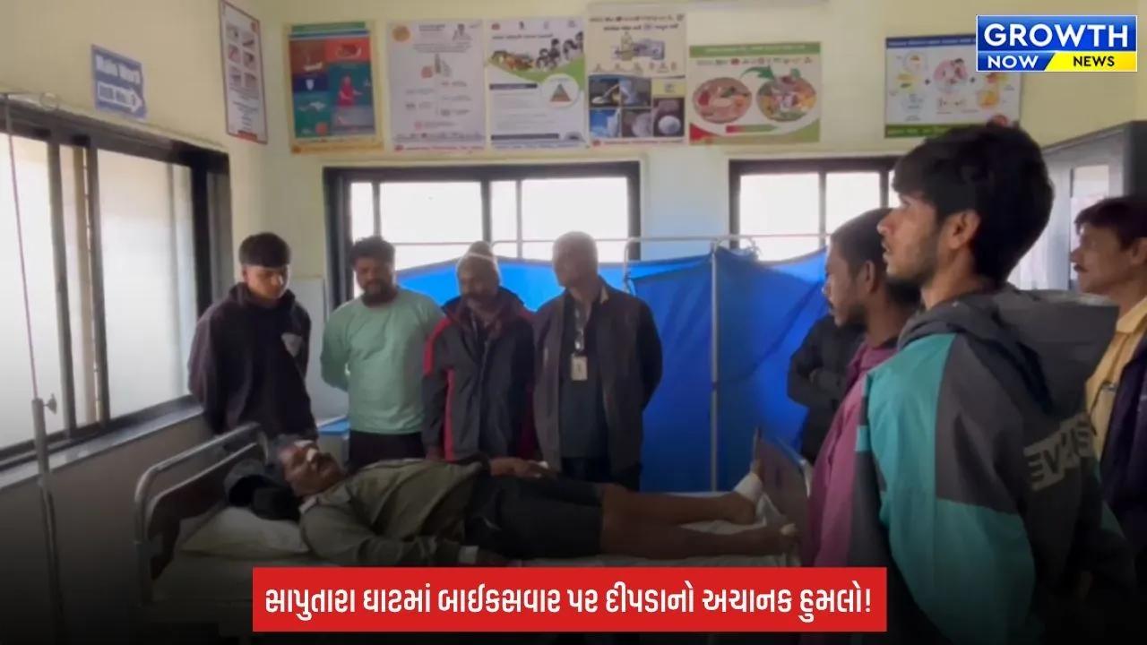 Leopard Attack: સાપુતારા-માલેગામ હાઈવેના ઘાટમાં બાઈકસવાર પર દીપડાનો હુમલો, પ્રવાસીઓમાં ભય
