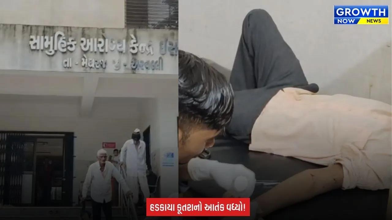 Arvalli ના મેઘરજમાં હડકાયા કૂતરાનો કહેર યથાવત, છેલ્લા બે દિવસમાં 18 લોકોને બચકાં ભર્યા