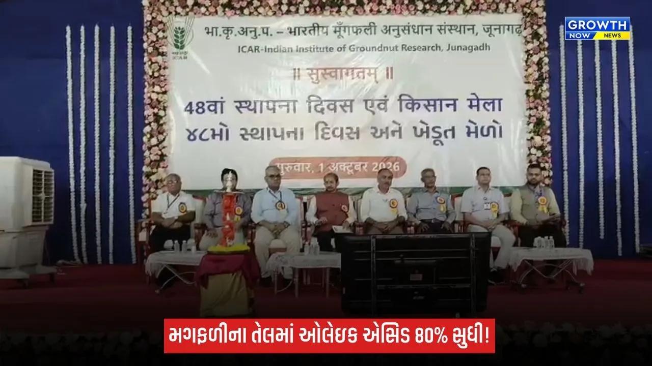 Junagadhના વૈજ્ઞાનિકોની મોટી સફળતા: મગફળીની નવી જાતો ‘ગિરનાર-4’ અને ‘ગિરનાર-5’ તૈયાર
