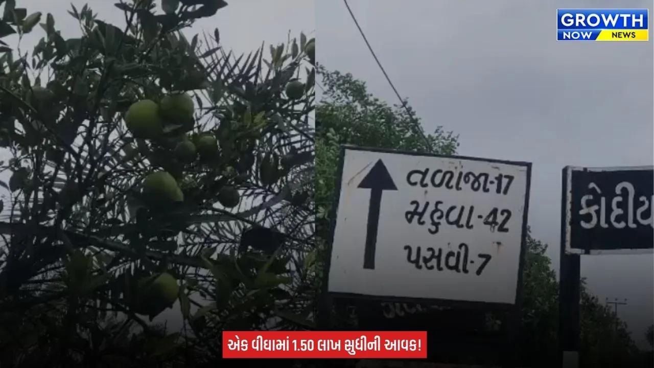 Agriculture News : ઓછો ખર્ચ, ઓછી માવજત અને લાખોની આવક! મોસંબીની ખેતી બની ખેડૂતોની પહેલી પસંદ