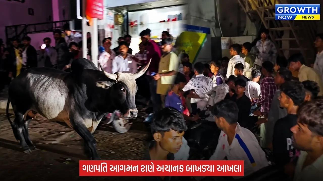 Dahod : ગણપતિ આગમન વચ્ચે આખલાઓનો આતંક, 7 થી 8 લોકો ઈજાગ્રસ્ત થતા હોસ્પિટલ ખસેડવામાં આવ્યા