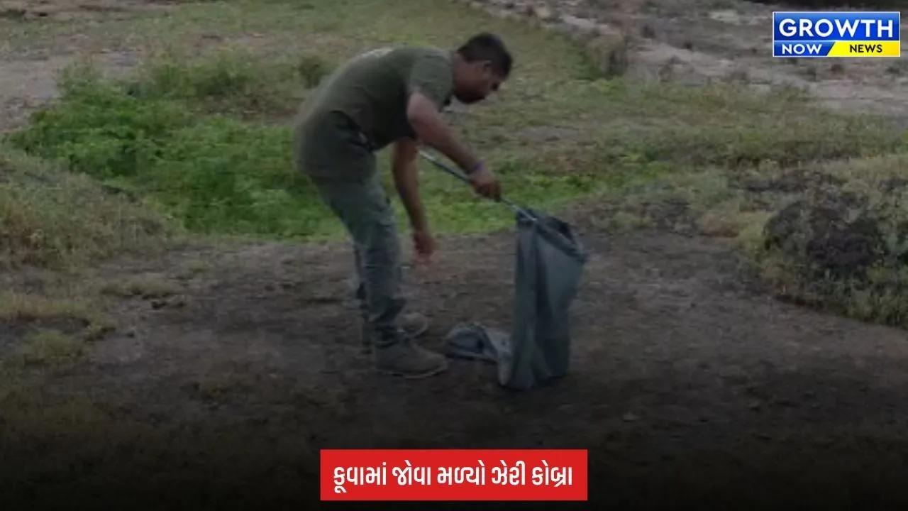 Junagadh:  લીલીયા ગામે 60 ફૂટ ઊંડા કૂવામાંથી ઝેરી કોબ્રાનું સફળ રેસ્ક્યુ