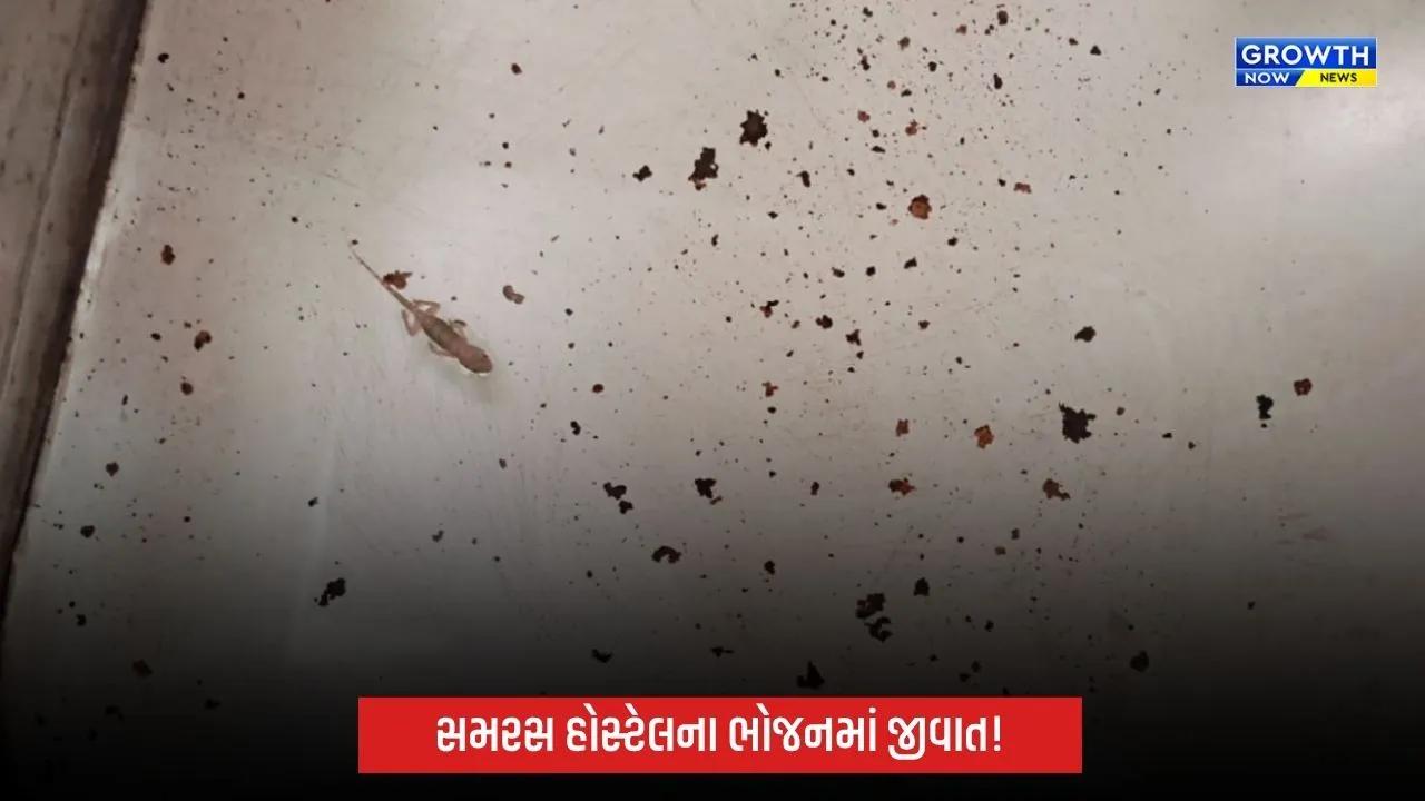 Gujarat University: અમદાવાદમાં ગુજરાત યુનિવર્સિટીની સમરસ ગર્લ્સ હોસ્ટેલમાં ભોજન મુદ્દે વિવાદ