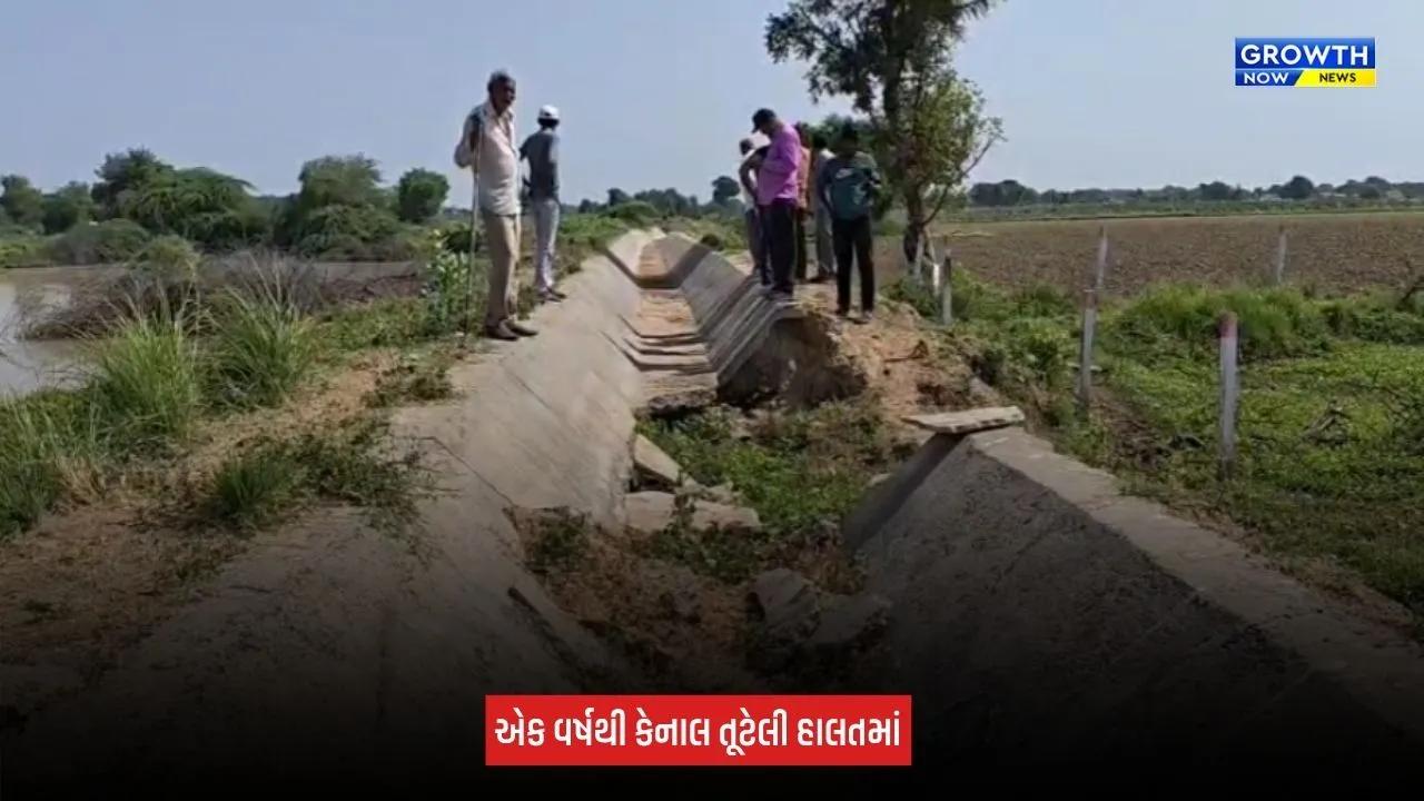 Mehsana News: શંખલપુરમાં એક વર્ષથી કેનાલ તૂટેલી હાલતમાં, સિંચાઈના પાણી માટે ખેડૂતો મારી રહ્યા છે વલખા