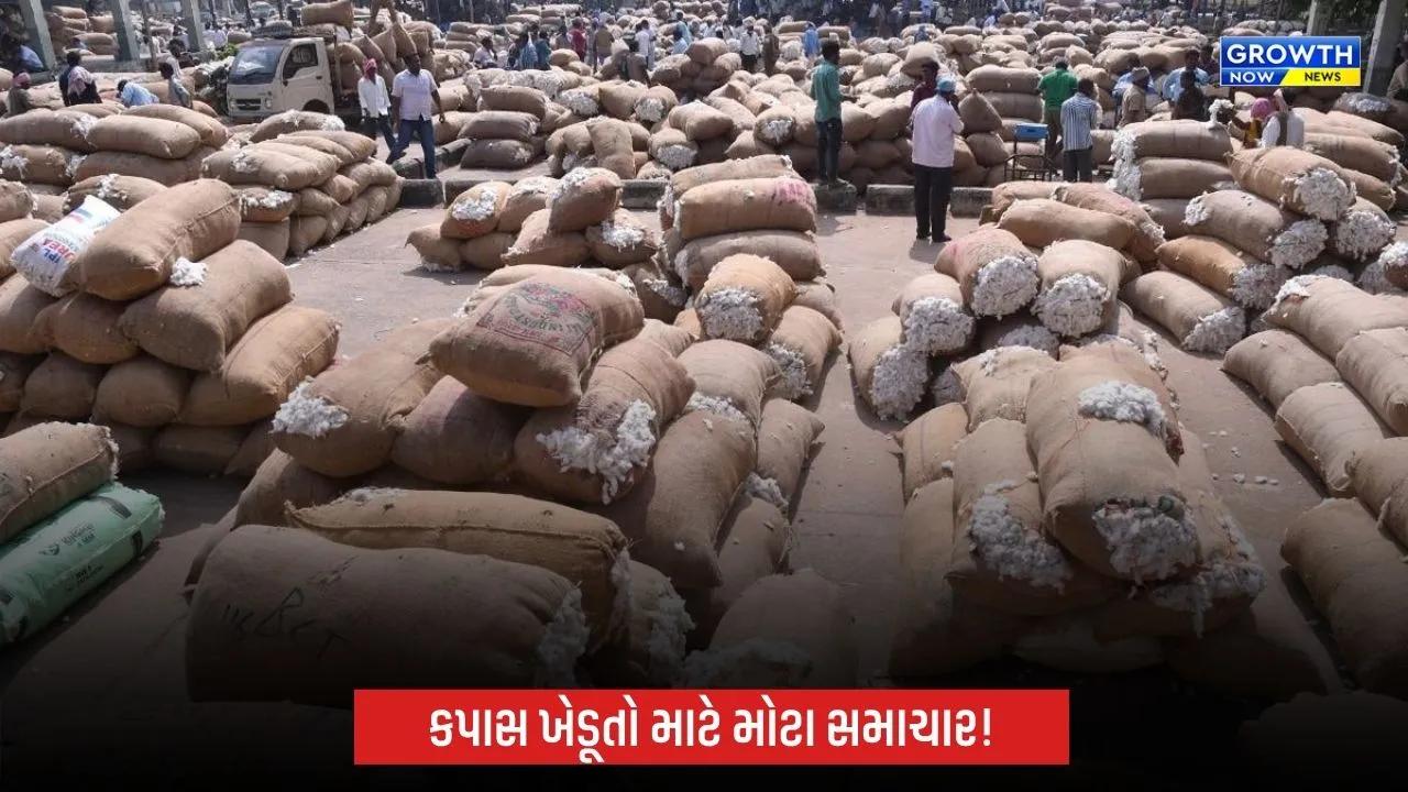 Cotton MSP Registration 2026: કપાસના ટેકાના ભાવે વેચાણ માટે ખેડૂતો 31 ઓક્ટોબર સુધી નોંધણી કરાવી શકશે