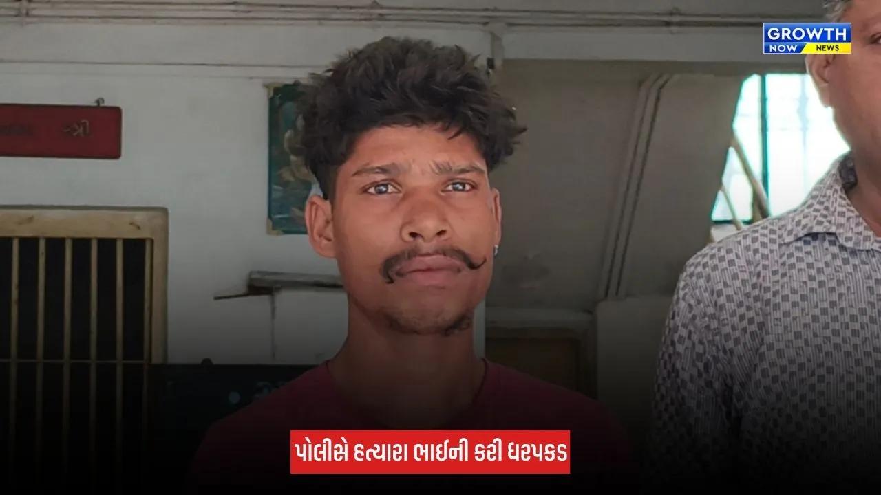 Dang : ભાઈએ જ ભાઈની કરી હત્યા કરી, કામધંધા બાબતની સામાન્ય બોલાચાલી વધુ ઉગ્ર બની